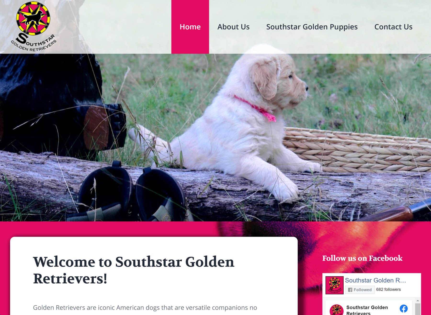 Dog Training Website Design PPC Google Ads Marketing
