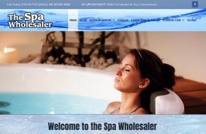 Website Design Punta Gorda Fort Myers Naples Sarasota Albany PPC Marketing Social Media Graphic Design